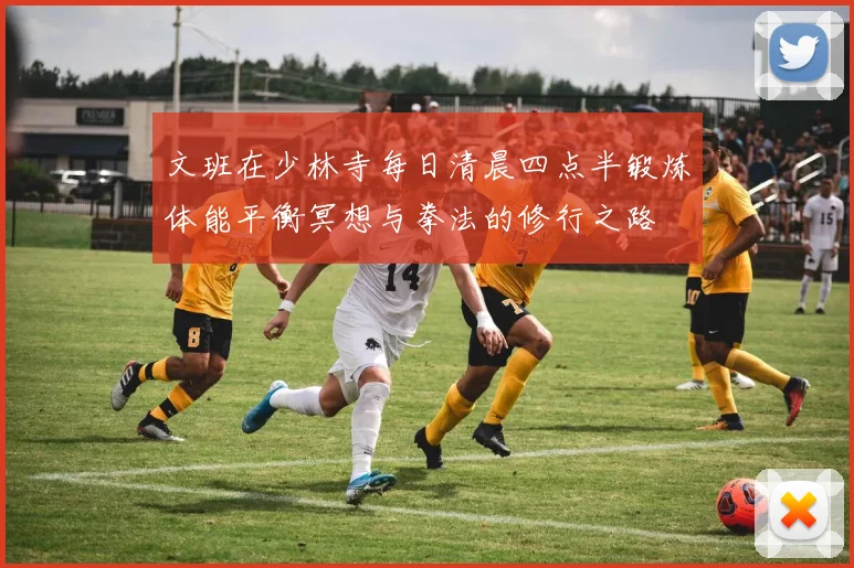 文班在少林寺每日清晨四点半锻炼体能平衡冥想与拳法的修行之路