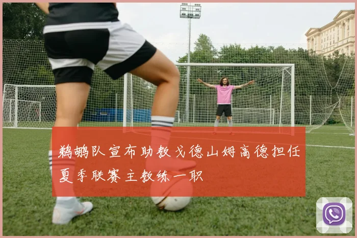 鹈鹕队宣布助教戈德山姆高德担任夏季联赛主教练一职