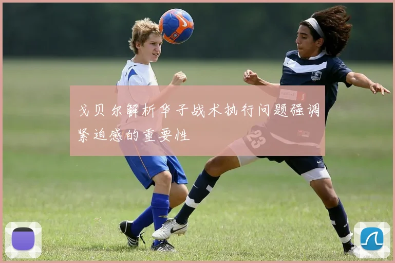 戈贝尔解析华子战术执行问题强调紧迫感的重要性